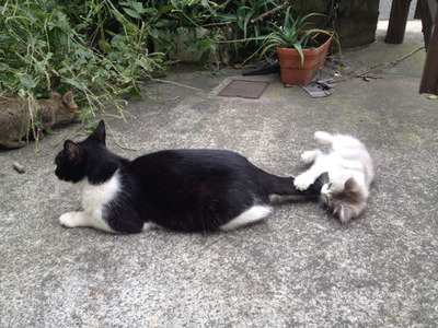 a22fdacf94835f2d6aa5849a95446e04