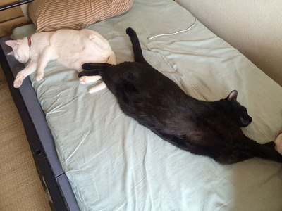 ̾��̤����-1