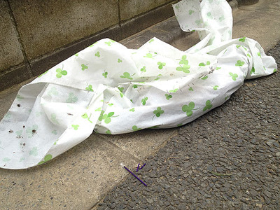 2de595572dace77c210377b6d0911782