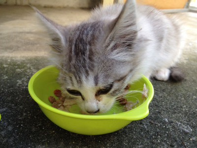 12073b55cdd1c12ddbe7283a0e24b5ab