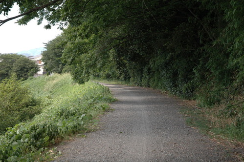 20070809_144758