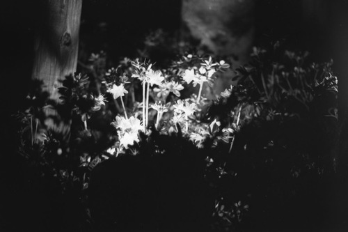 20060410_17