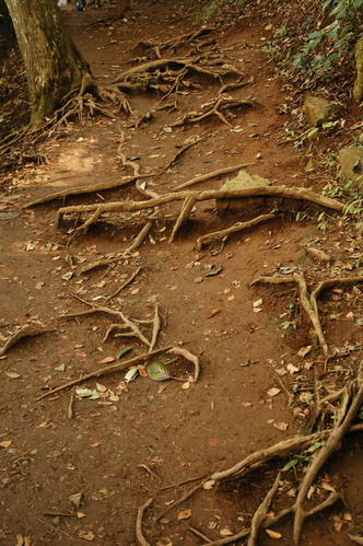 20061105_123726