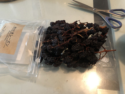 写真 2021-02-20 19 52 48