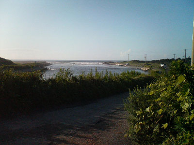 20060814_063319.jpg