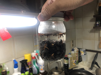 写真 2021-02-20 21 53 22