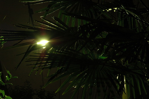 20060618_015737