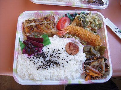 20100425_124011