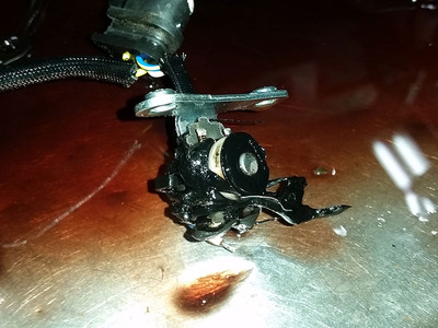 56806515_2251525518262748_6088495920268181504_n