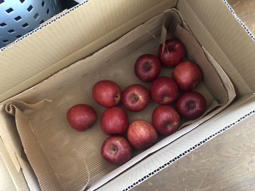 ガトー インビシブルを作ろう たにし大記録