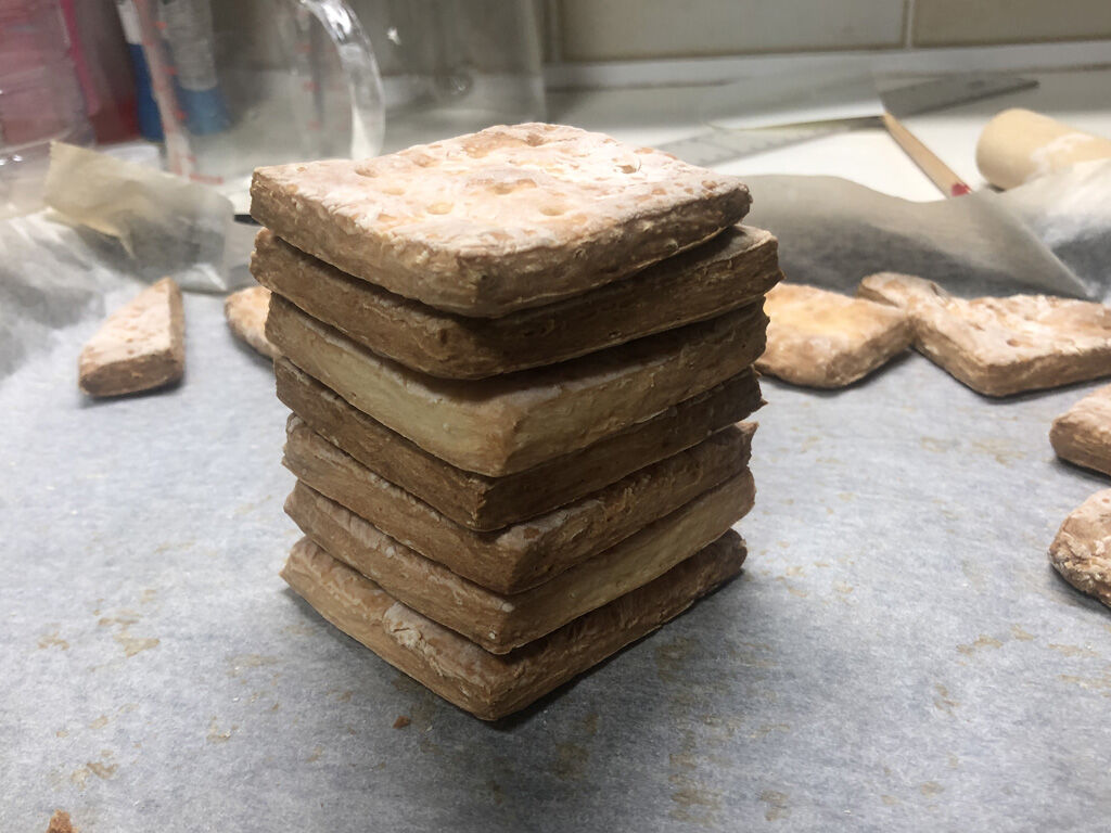 ハードタックを作り直そう たにし大記録 ハードタックを作り直そう たにし大記録