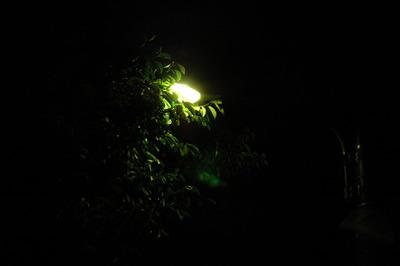 20060618_020110