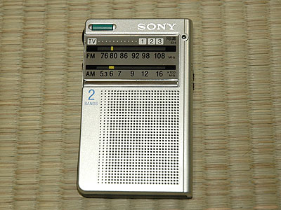 radio_icf-r45.jpg