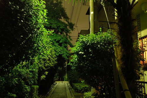 20060618_015832