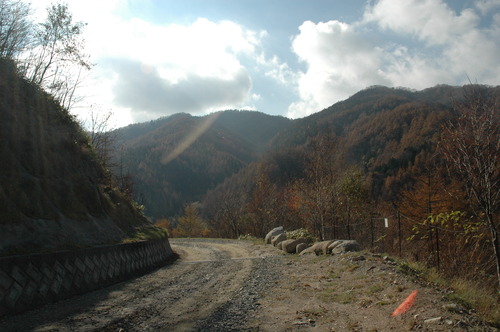 20071108_133518
