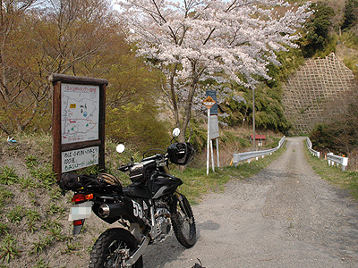20080406_142015.jpg