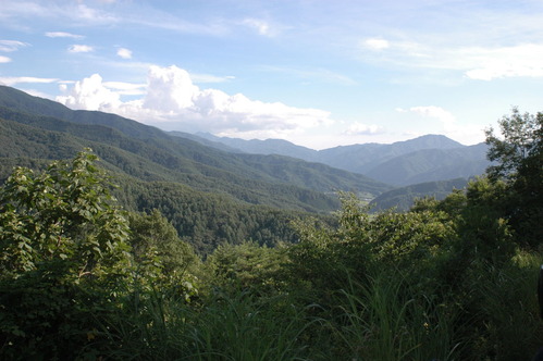 20070817_161742