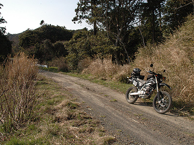 20080406_151920.jpg