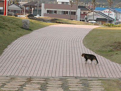 20080406_171004.jpg