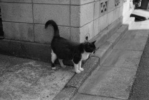20060321_22