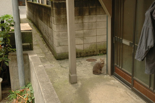 20061028_161139