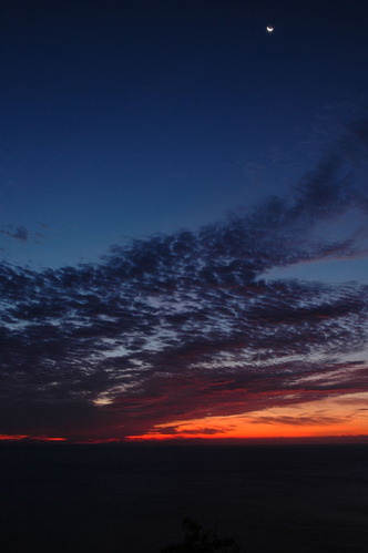 20070809_045119