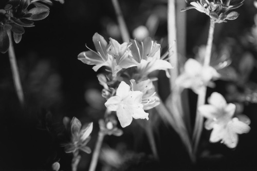 20060410_20