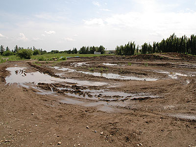 20080606_132107.jpg