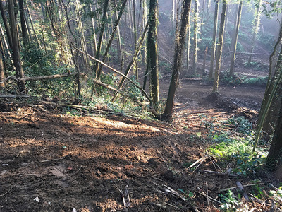 �̿� 2016-11-06 7 58 03