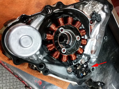 57251226_430114434459046_8587764714392518656_n