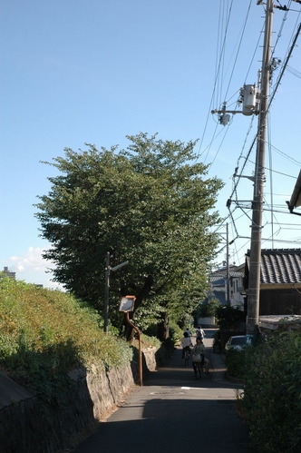 20070809_162157