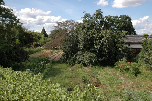 20070809_144125