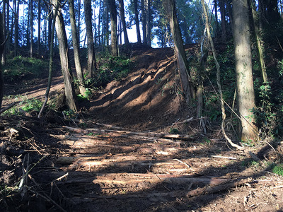 �̿� 2016-11-06 8 01 25