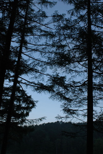 20070818_052940