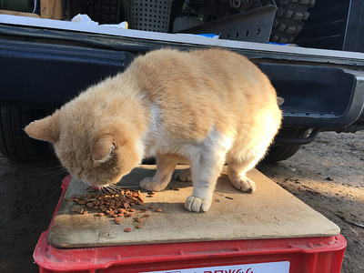 �̿� 2016-11-06 7 49 36