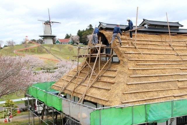 かやぶき屋根のふき替え作業をしていた、長沼フートピア公園・ふるさと