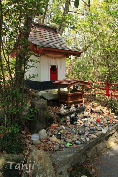 11 画像、猫島、田代島、宮城県、Tashiro-jima、Cat islands、Japan.jpg