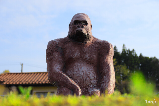 公園ゴリラ】金津グリーンタウン 宮城県角田市 : 仙台人が仙台観光をし