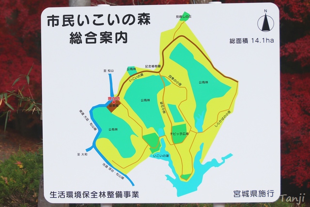 04　宮城県大崎市市民憩いの森の紅葉風景秋、仙台観光ブログ