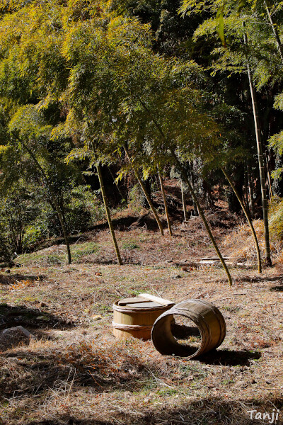 08画像 源氏物語モデル中将藤原実方朝臣の墓、宮城県名取市愛島塩手、FujiwaraSanekataAson