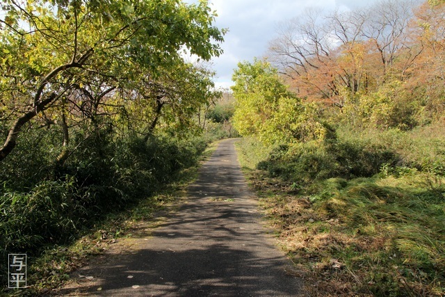 雨乞、新幹線トンネルの真上、紅葉、画像、宮城県・柴田町、仙台人が仙台観光をしてるブログ、与平