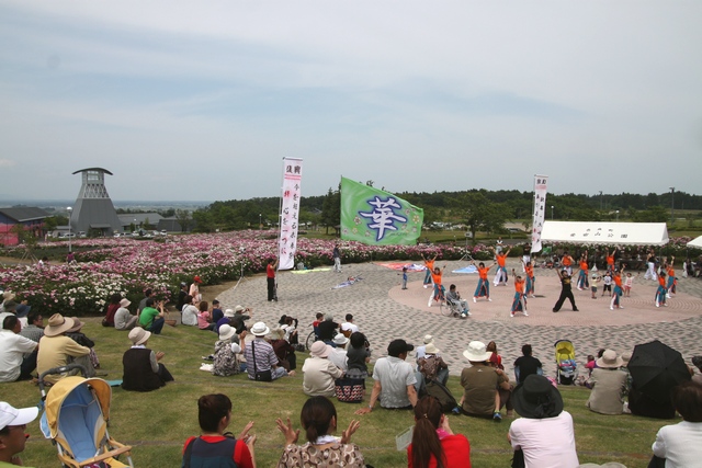 よさこい・スイングパノラマ・色麻町愛宕山シャクヤク園・宮城県加美郡色麻町・与平・仙台人が仙台観光をしてるブログ・画像