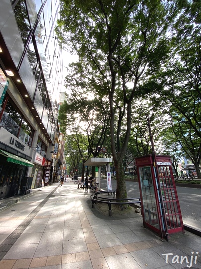 15 仙台の街、Sendai Miyagi Japan