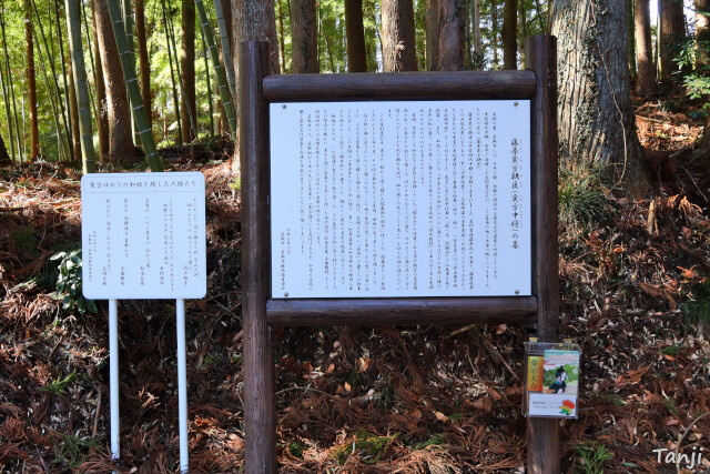 15画像 源氏物語モデル中将藤原実方朝臣の墓、宮城県名取市愛島塩手、FujiwaraSanekataAson