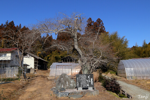 04画像 源氏物語モデル中将藤原実方朝臣の墓、宮城県名取市愛島塩手、FujiwaraSanekataAson