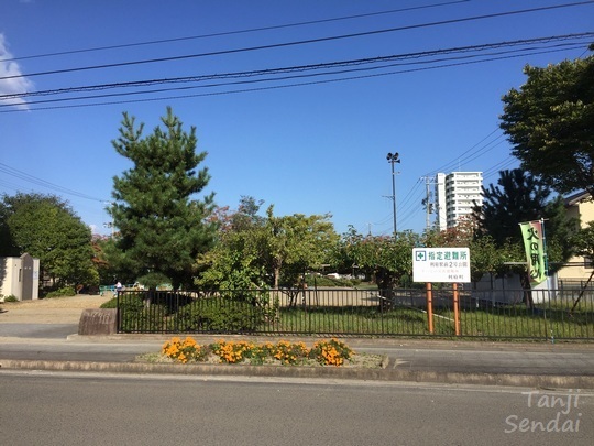 03 94 利府の翁・真鍮梨、日野藤吉、宮城県利府町、画像.jpg