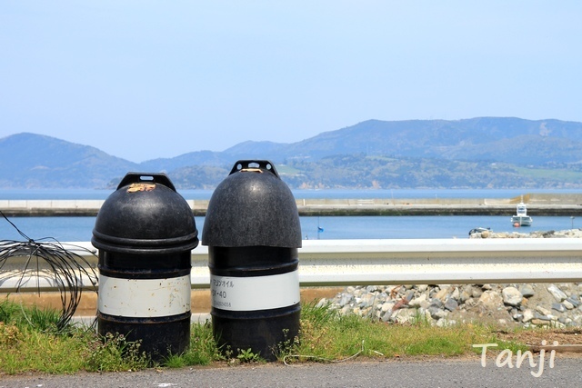 14 画像、猫島、田代島、宮城県、Tashiro-jima、Cat islands、Japan.jpg