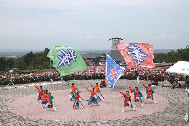 よさこい・スイングパノラマ・色麻町愛宕山シャクヤク園・宮城県加美郡色麻町・与平・仙台人が仙台観光をしてるブログ・画像