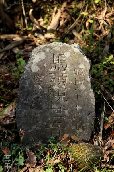 09 96 紅葉、太白山自然観察の森、宮城県仙台市太白区、画像image.jpg