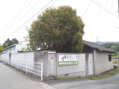 櫛田酒造